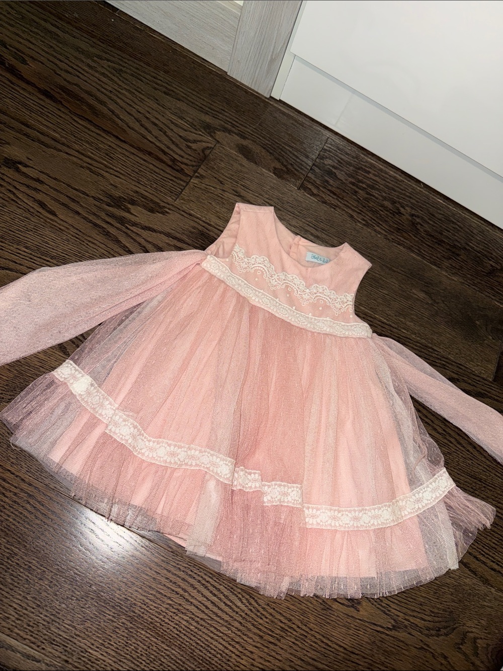 Long Sleeve Blush Pink Tulle Lace Party Dress Abel & Lula 18 mos